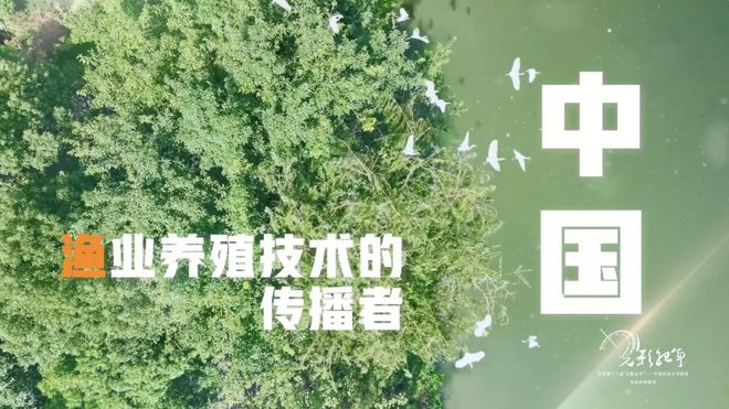 2024“TV地标”!滨湖出品获奖!(图4) 2024“TV地标”!滨湖出品获奖!(图4)