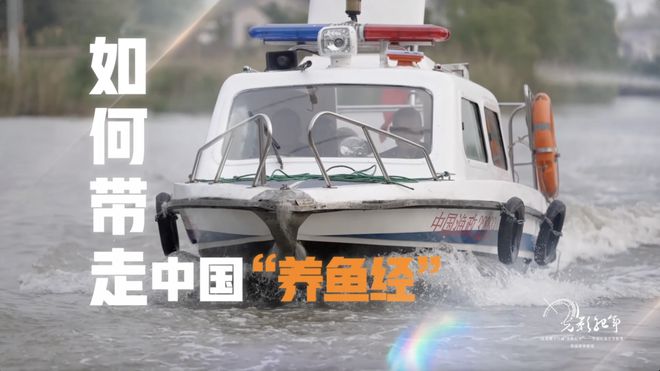 2024“TV地标”!滨湖出品获奖!(图5) 2024“TV地标”!滨湖出品获奖!(图5)