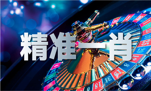 神童资料网_神童资料网开放版V1(图1)